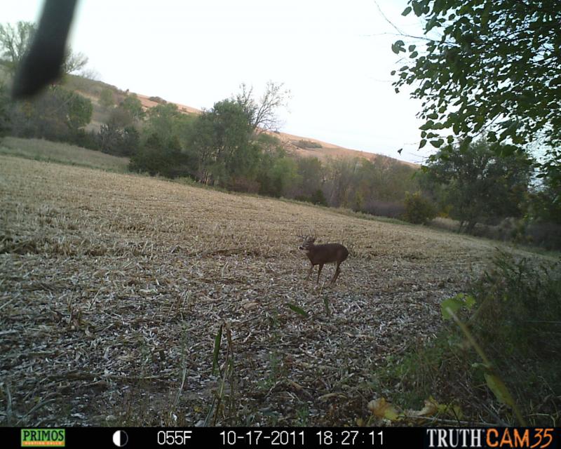 Nice 10pt...145ish?