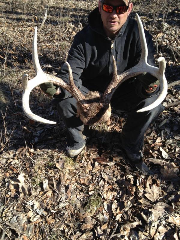 Nice 8 pt