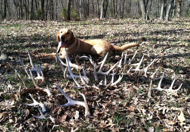 Otis with 3 25 12 Finds