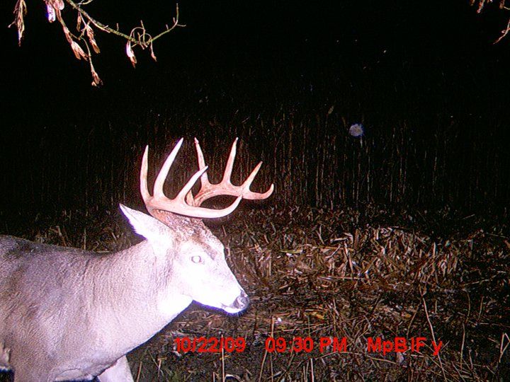 PT 2009 trail cam