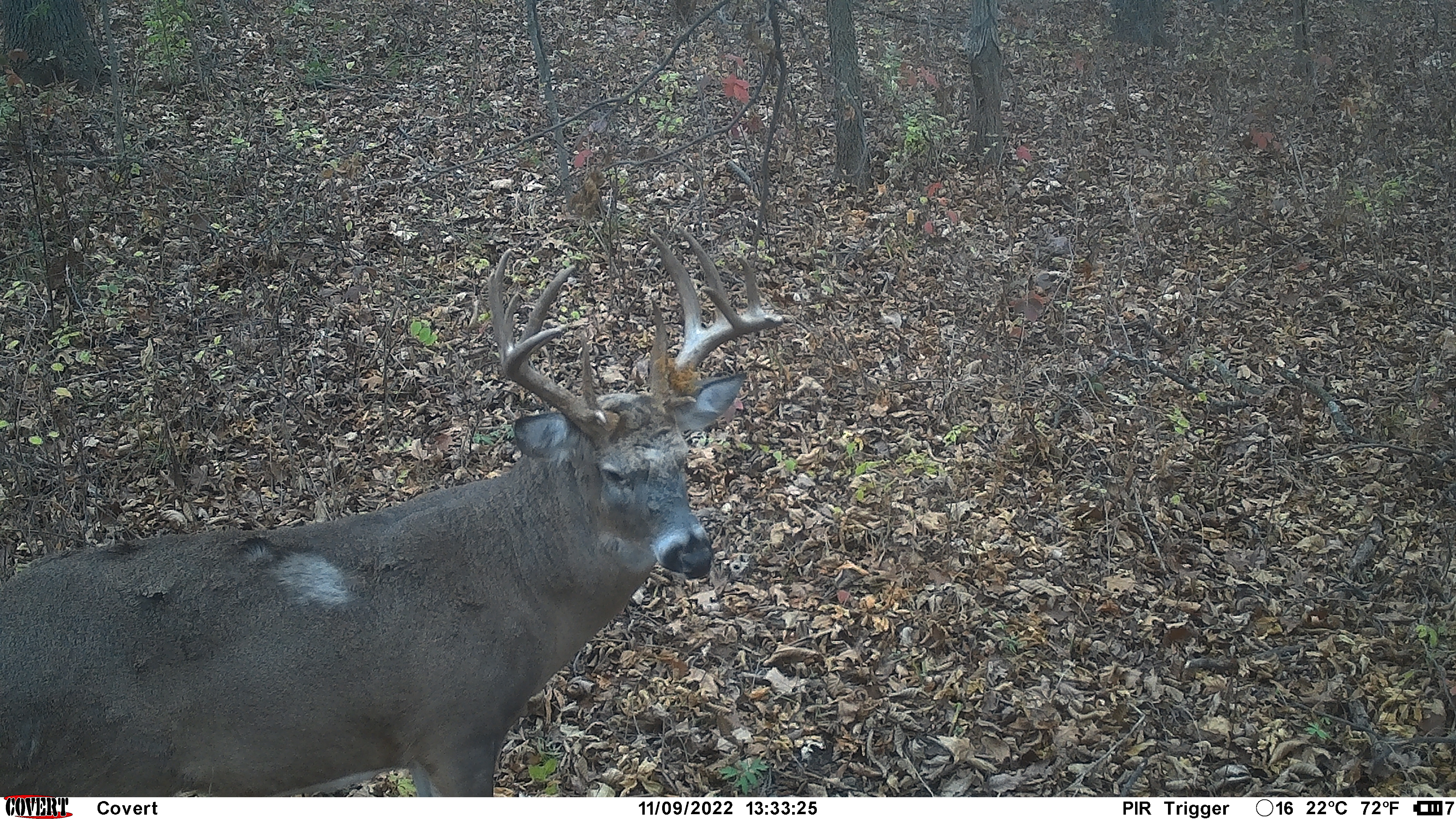 Public Land Dude.JPG