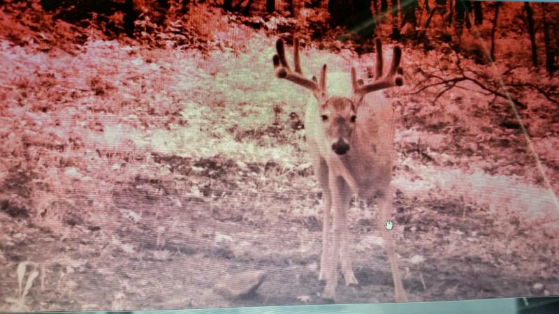 Ridgetop 10