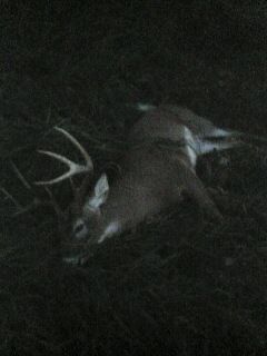 Right how I found him, 30 yds away