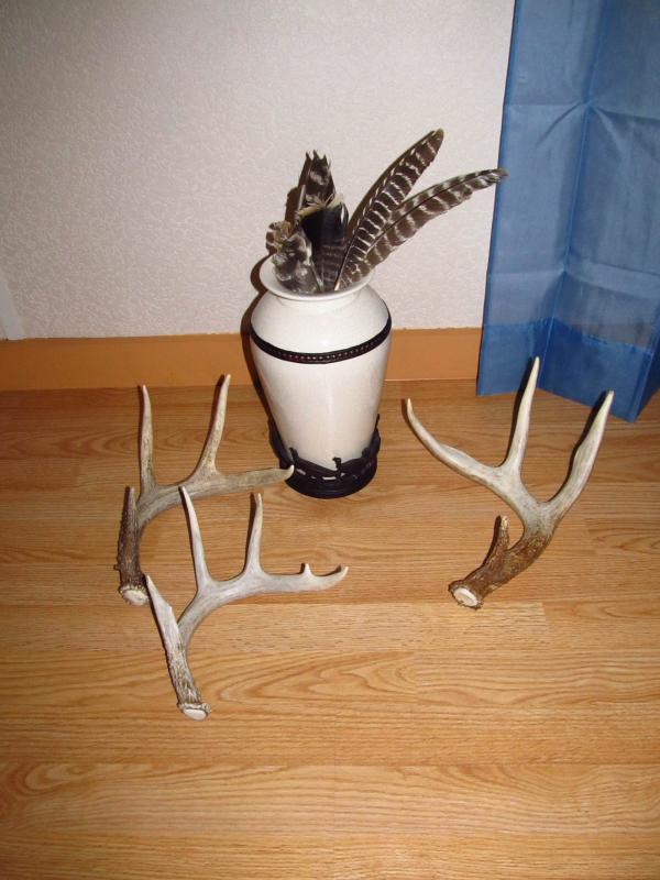 sheds