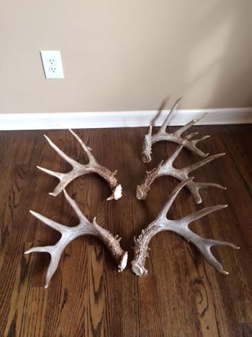 sheds