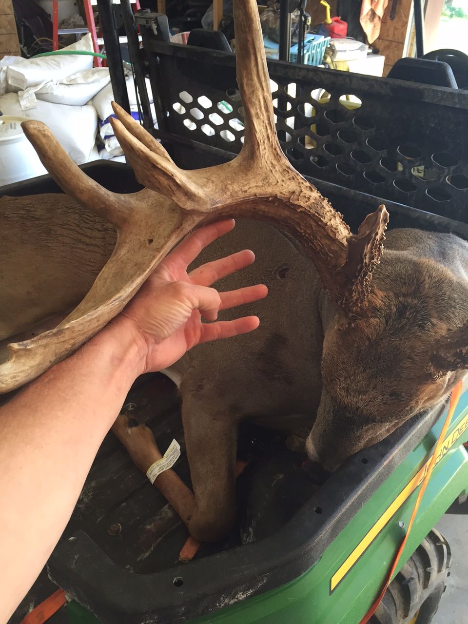 Skip Buck Mass 1