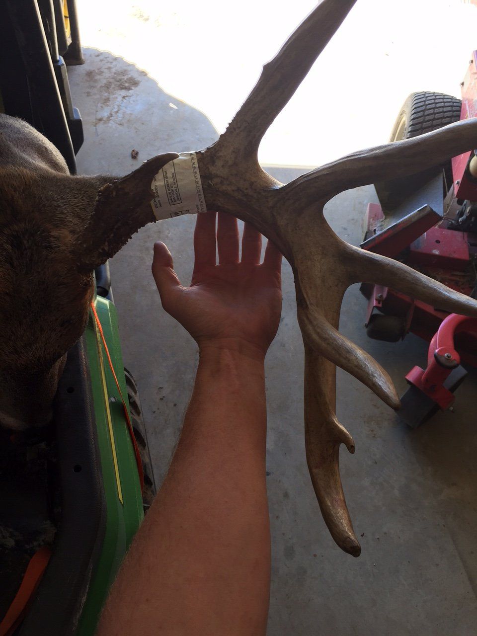 Skip Buck Mass 2