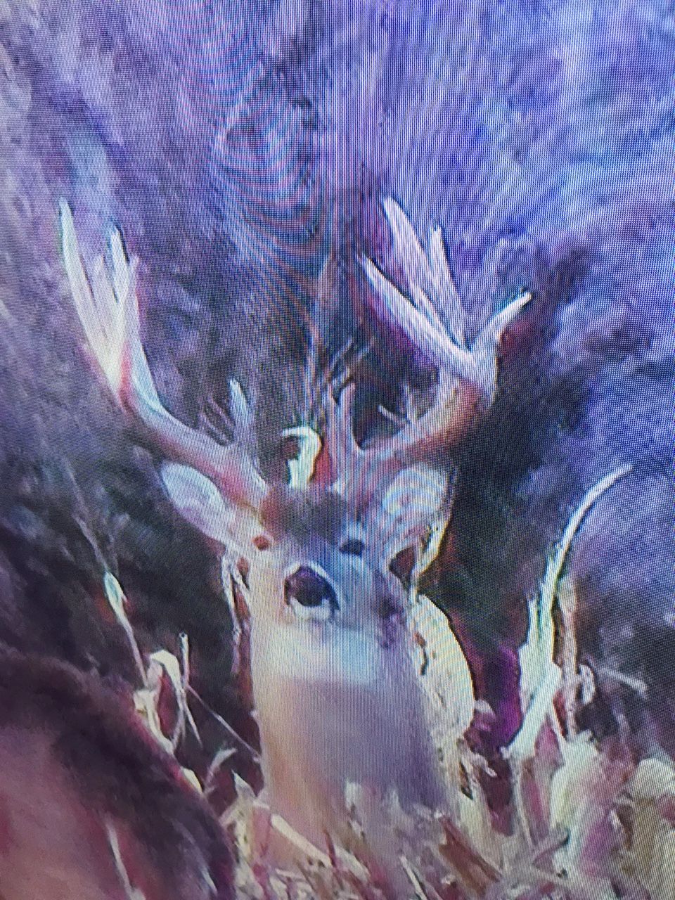Skip Buck Passed last year