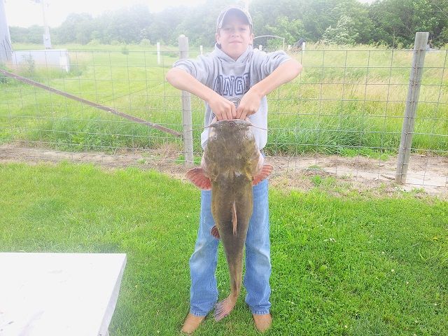 Tanner with big flatty