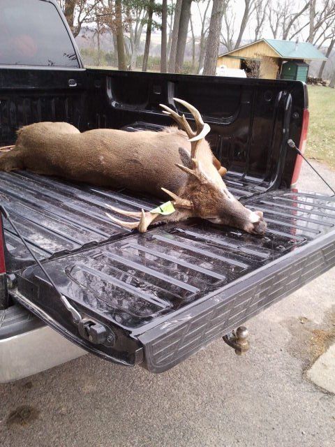 Tanner's 11 pnt Buck