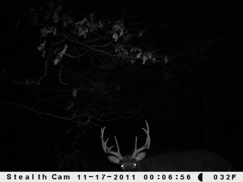 This guy is "Hammer". This buck is only 4 1/2 years old. I have trail camera pics for the last 3 years. And I found his matching sets the last 2 years