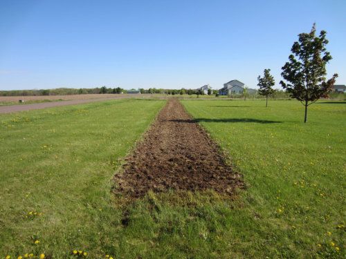 tilled strip