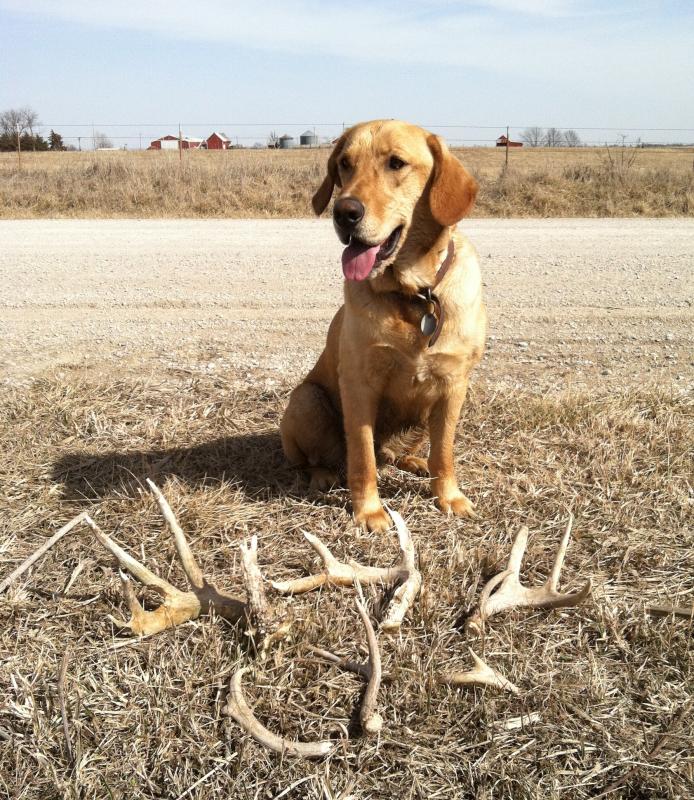 Todays haul 3-6-12
