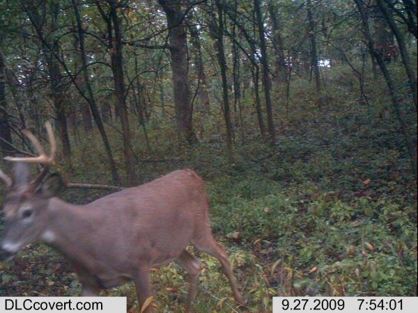 trail cam 107