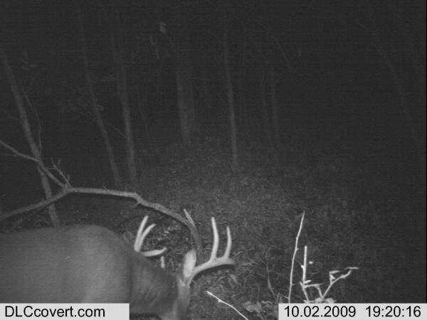 trail cam 146