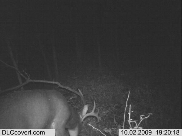 trail cam 147