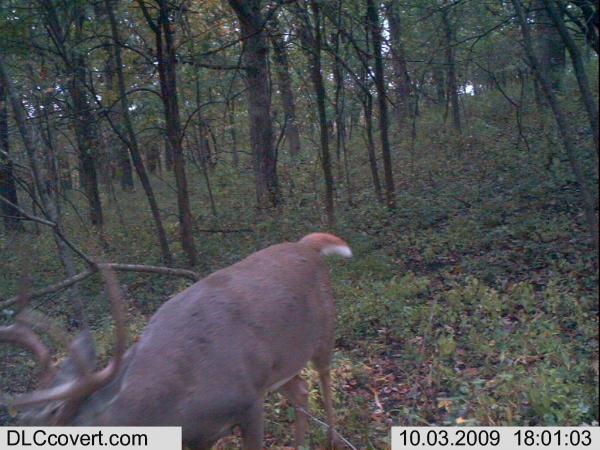 trail cam 148