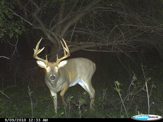 trail cam 927