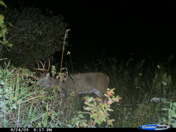 trail camera2 123