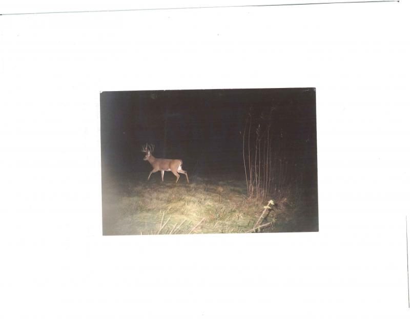 TrailCam