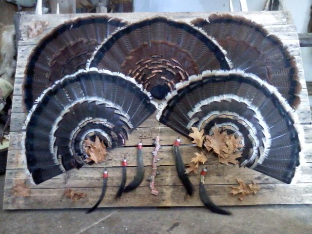 Turkey Mount