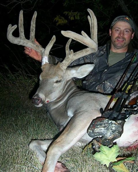 Velvet bow buck