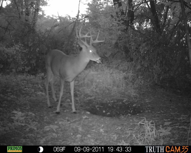 wide 9 #2