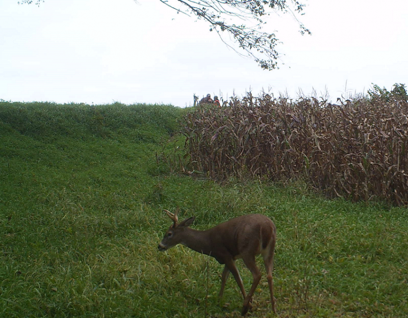 Youth Hunt